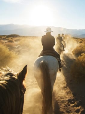 People riding horses on a trail